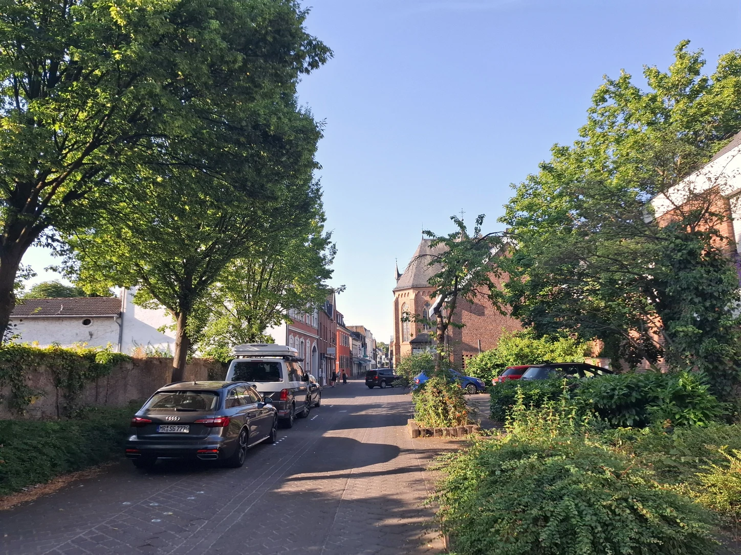 Die baumgesäumte Straße auf dem Weg zur Praxis