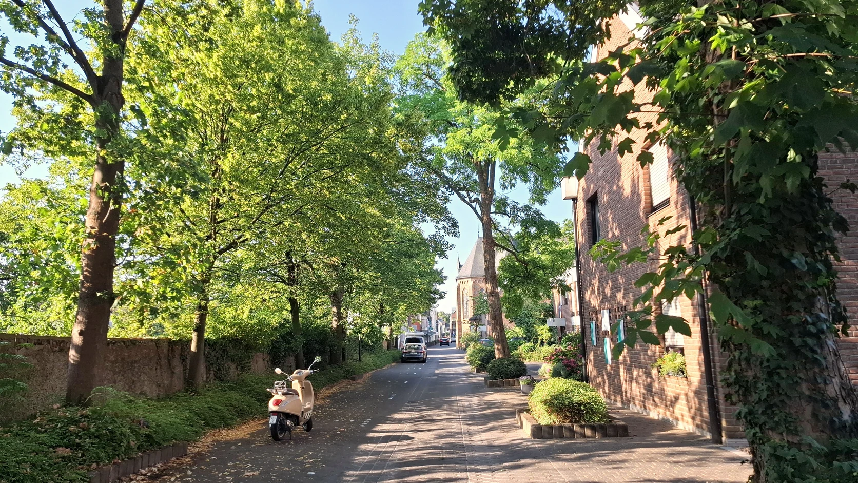 Weg zum Schloss Lechenich, umgeben von Bäumen des Schlossparks